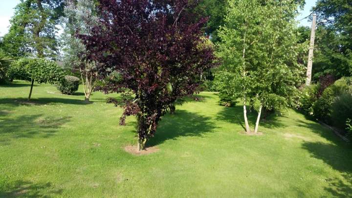 Aménagement des espaces verts à Valmont