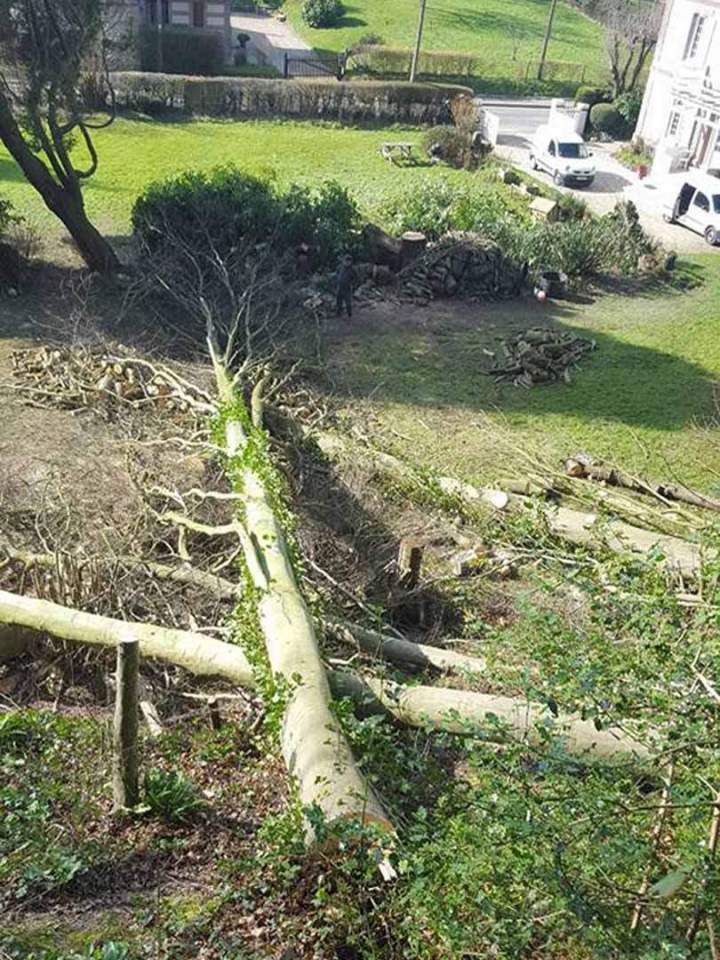 Élagage et abattage à Valmont