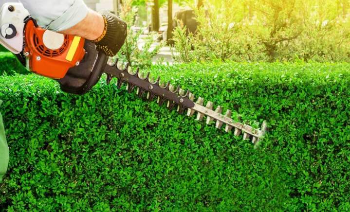 Soins et coupe de haies à Valmont